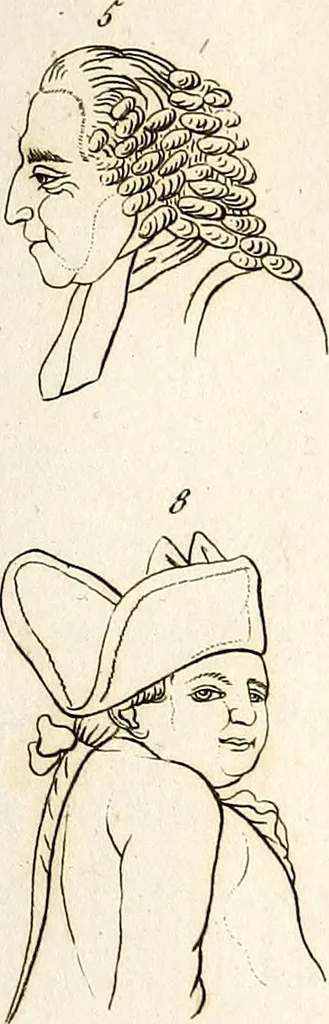 An illustration from L'art de connaitre les hommes par la physionomie, 1806, leaf 290