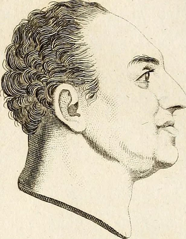 An illustration from L'art de connaitre les hommes par la physionomie, 1806, leaf 297