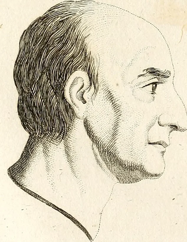 An illustration from L'art de connaitre les hommes par la physionomie, 1806, leaf 297