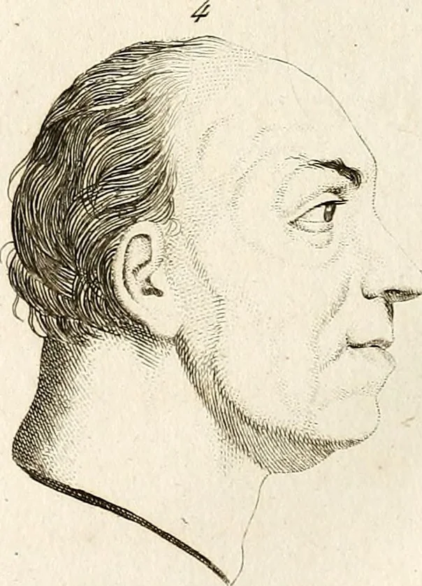 An illustration from L'art de connaitre les hommes par la physionomie, 1806, leaf 297