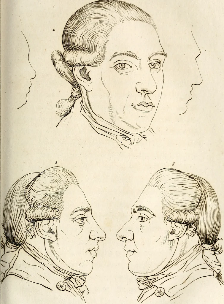 An illustration from L'art de connaitre les hommes par la physionomie, 1806, leaf 300