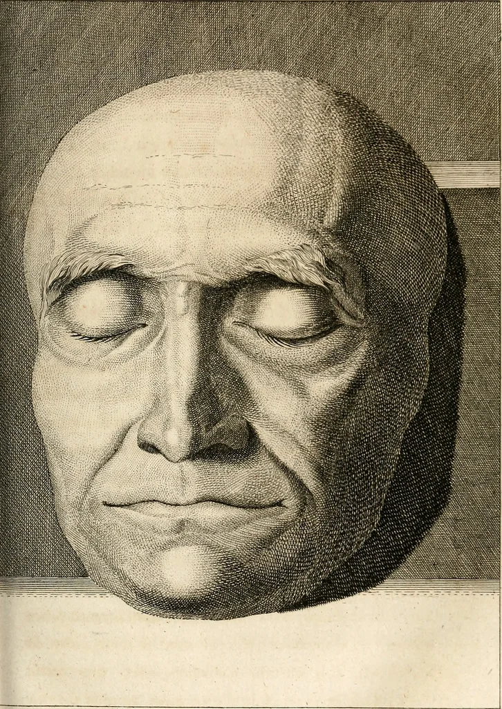 An illustration from L'art de connaitre les hommes par la physionomie, 1806, leaf 322