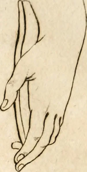 An illustration from L'art de connaitre les hommes par la physionomie, 1806, leaf 34