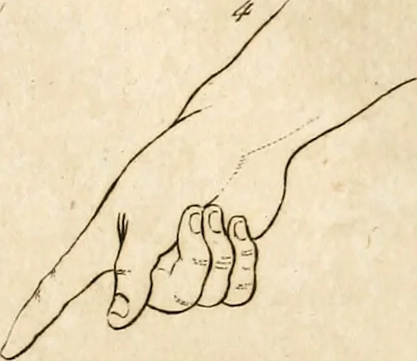 An illustration from L'art de connaitre les hommes par la physionomie, 1806, leaf 34