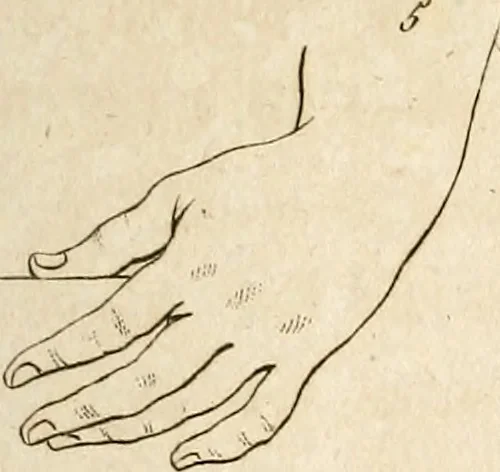 An illustration from L'art de connaitre les hommes par la physionomie, 1806, leaf 34