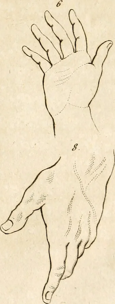 An illustration from L'art de connaitre les hommes par la physionomie, 1806, leaf 34