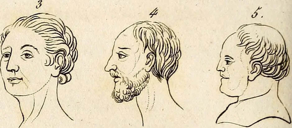 An illustration from L'art de connaitre les hommes par la physionomie, 1806, leaf 363