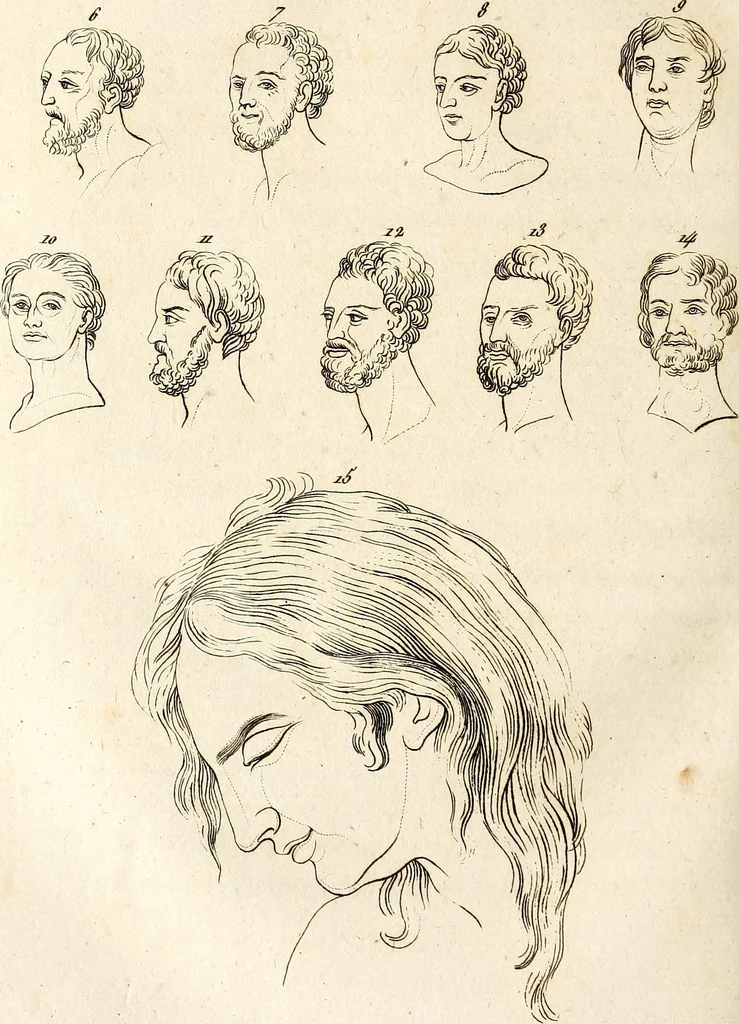 An illustration from L'art de connaitre les hommes par la physionomie, 1806, leaf 363