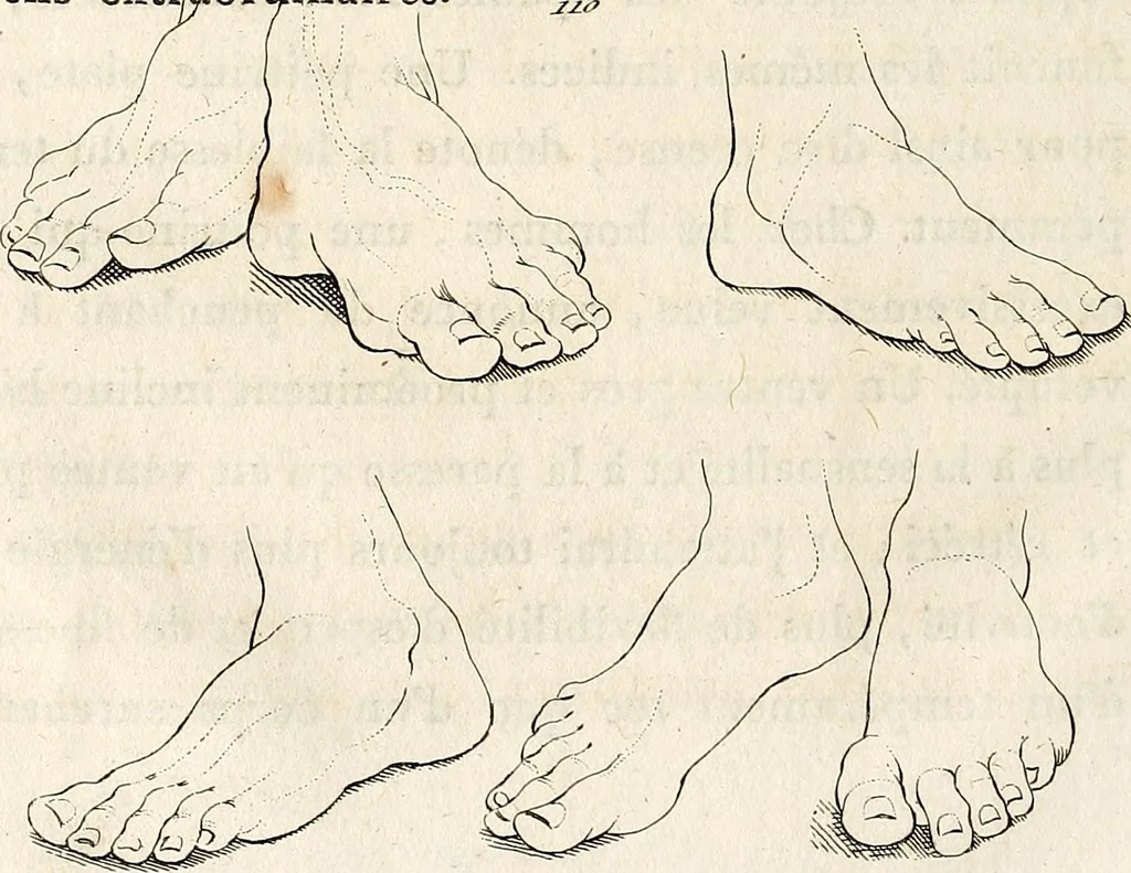 An illustration from L'art de connaitre les hommes par la physionomie, 1806, leaf 37