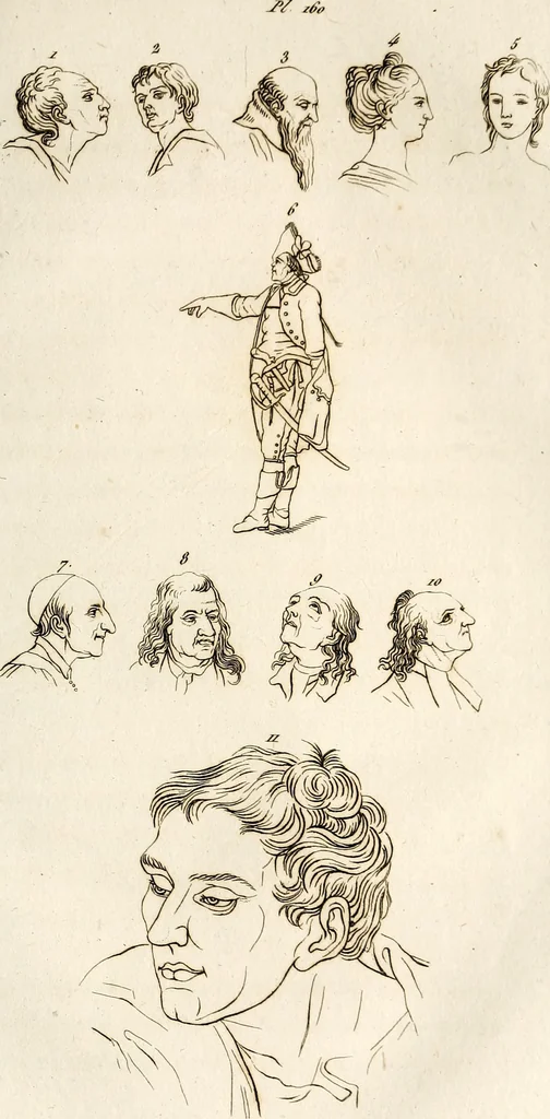 An illustration from L'art de connaitre les hommes par la physionomie, 1806, leaf 372