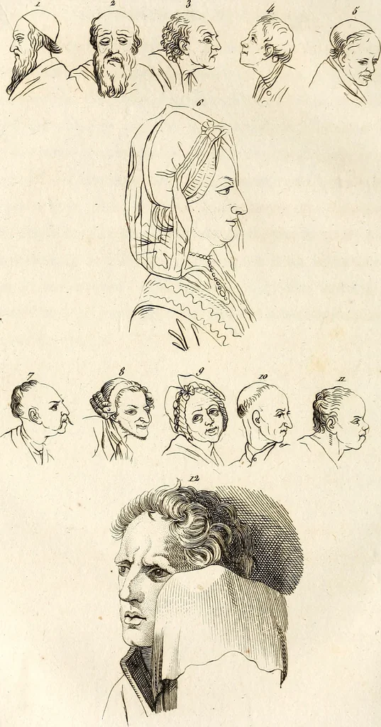 An illustration from L'art de connaitre les hommes par la physionomie, 1806, leaf 377