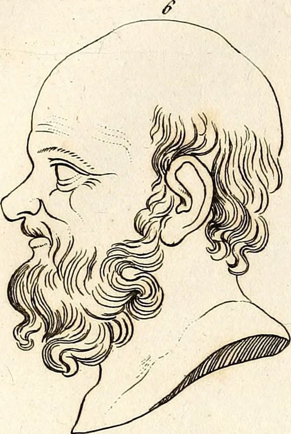 An illustration from L'art de connaitre les hommes par la physionomie, 1806, leaf 453