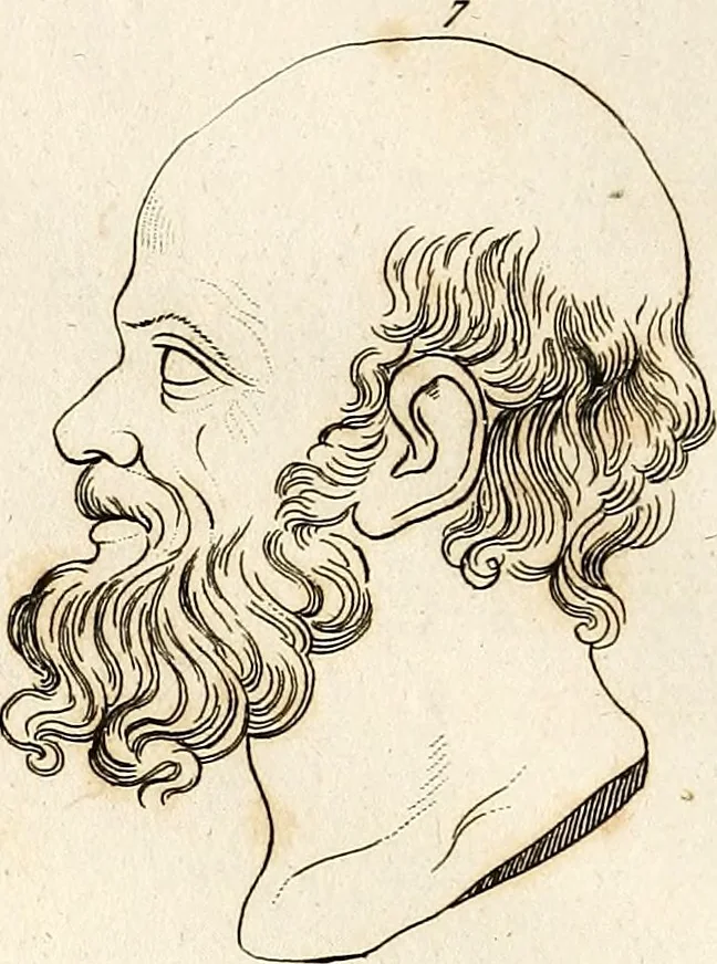 An illustration from L'art de connaitre les hommes par la physionomie, 1806, leaf 453