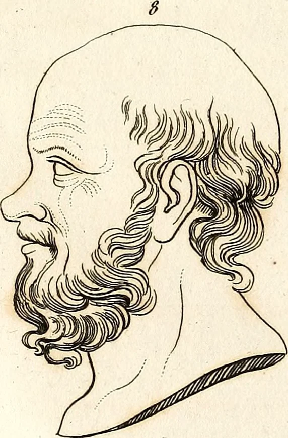 An illustration from L'art de connaitre les hommes par la physionomie, 1806, leaf 453