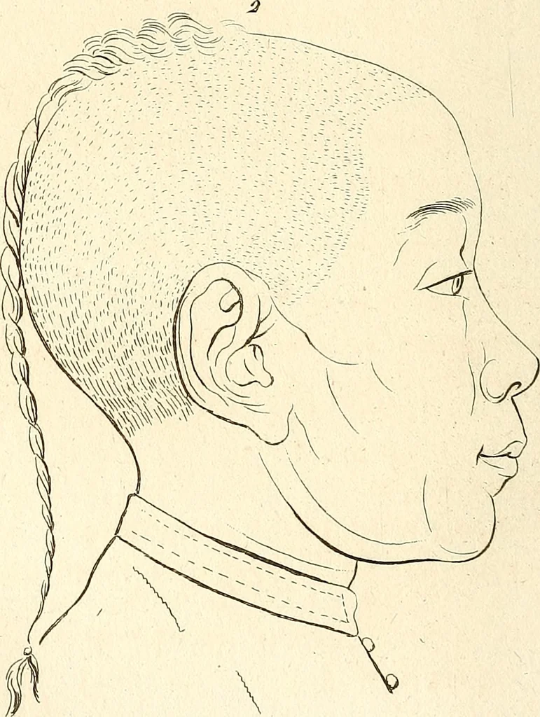 An illustration from L'art de connaitre les hommes par la physionomie, 1806, leaf 129