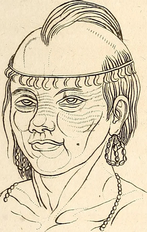 An illustration from L'art de connaitre les hommes par la physionomie, 1806, leaf 132