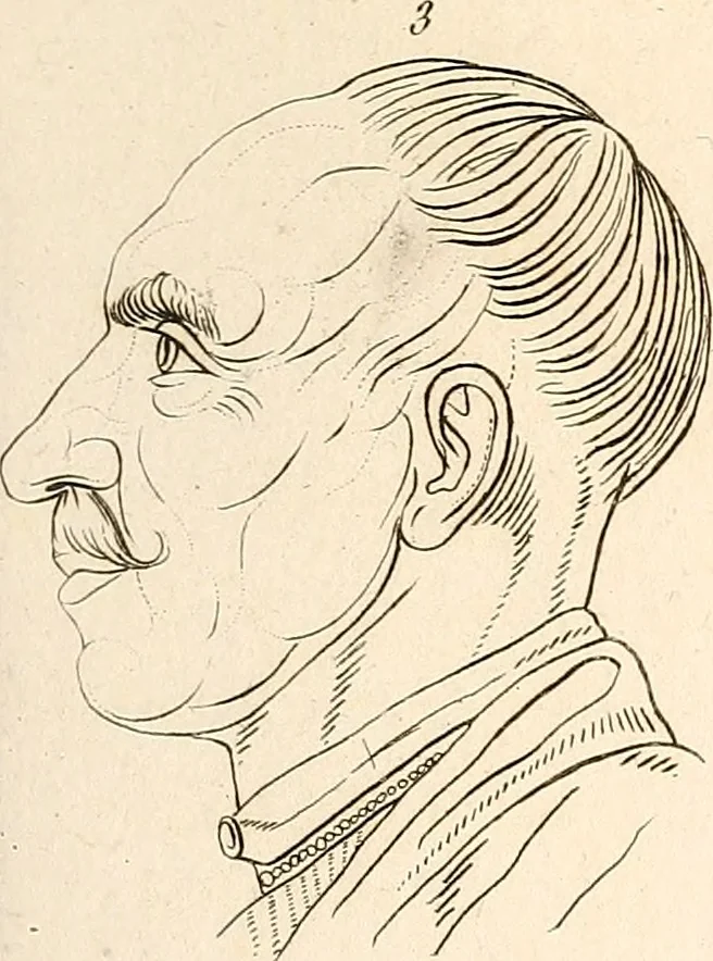 An illustration from L'art de connaitre les hommes par la physionomie, 1806, leaf 140