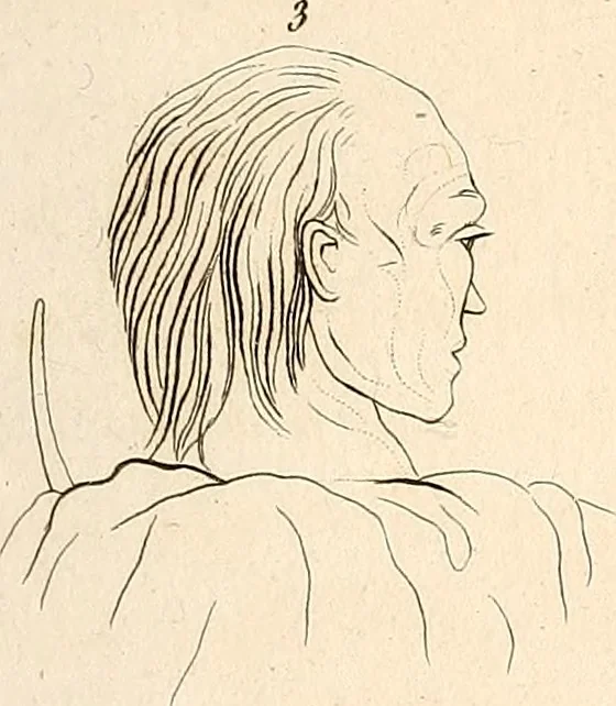 An illustration from L'art de connaitre les hommes par la physionomie, 1806, leaf 146