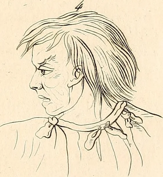 An illustration from L'art de connaitre les hommes par la physionomie, 1806, leaf 146