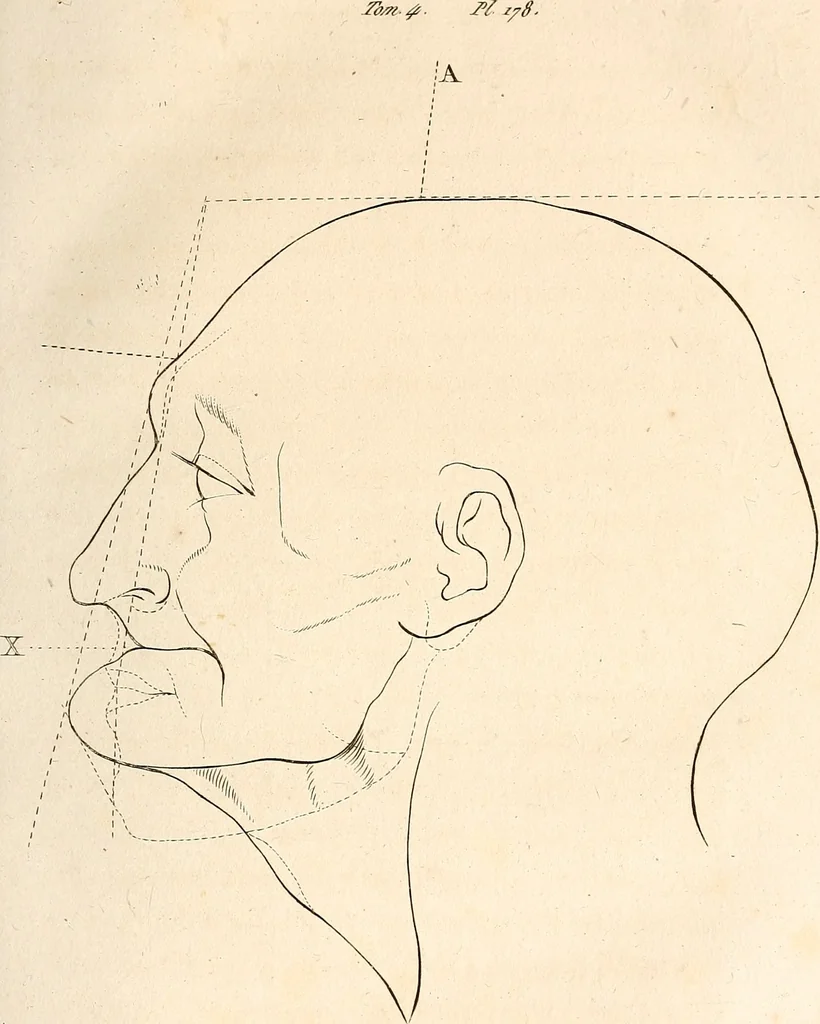 An illustration from L'art de connaitre les hommes par la physionomie, 1806, leaf 182