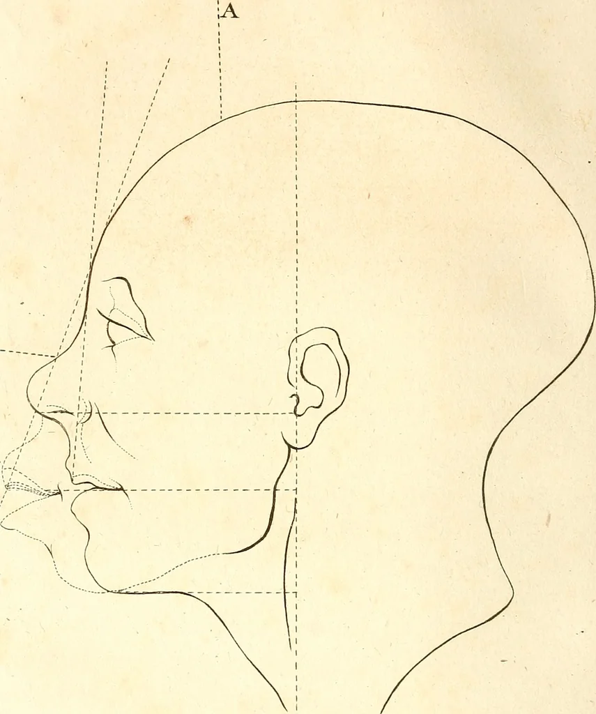 An illustration from L'art de connaitre les hommes par la physionomie, 1806, leaf 185