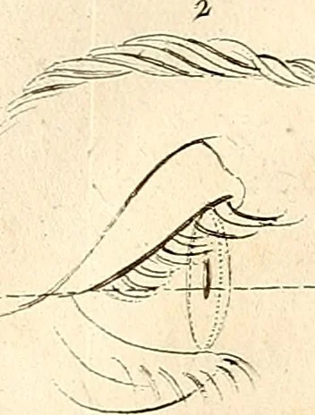 An illustration from L'art de connaitre les hommes par la physionomie, 1806, leaf 451