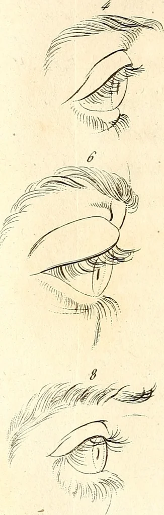An illustration from L'art de connaitre les hommes par la physionomie, 1806, leaf 451