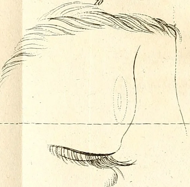 An illustration from L'art de connaitre les hommes par la physionomie, 1806, leaf 451
