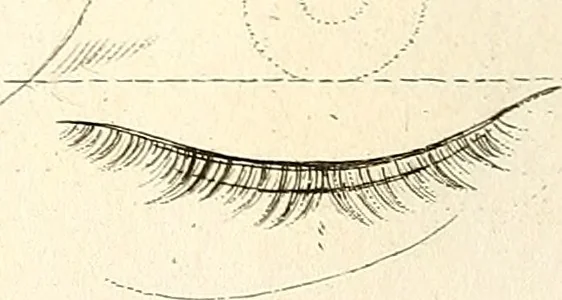 An illustration from L'art de connaitre les hommes par la physionomie, 1806, leaf 451
