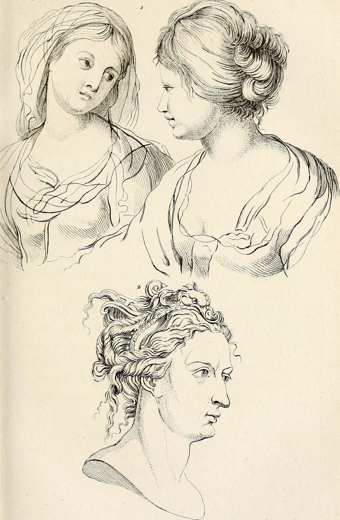 An illustration from L'art de connaitre les hommes par la physionomie, 1806, leaf 100