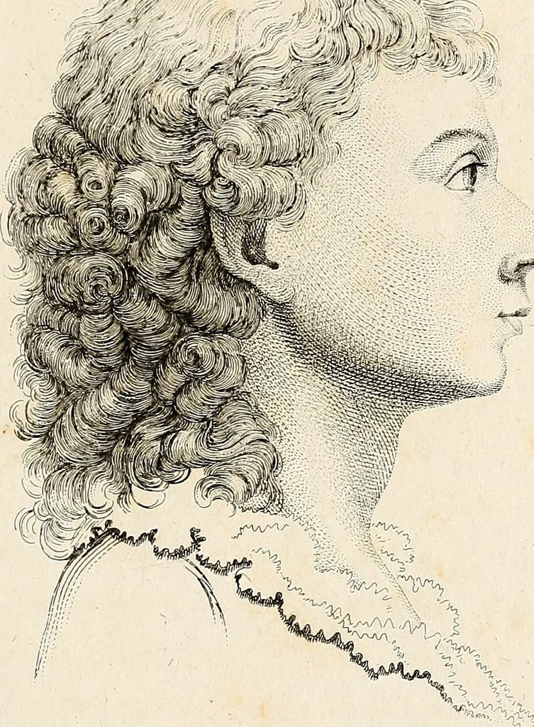An illustration from L'art de connaitre les hommes par la physionomie, 1806, leaf 104