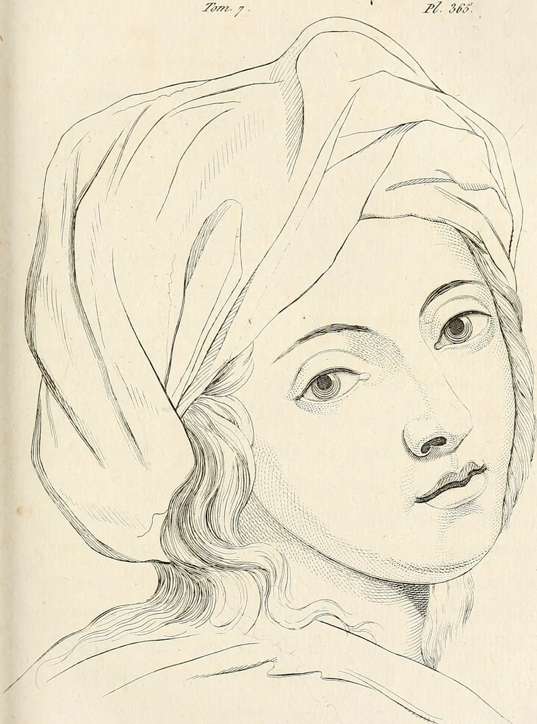 An illustration from L'art de connaitre les hommes par la physionomie, 1806, leaf 124