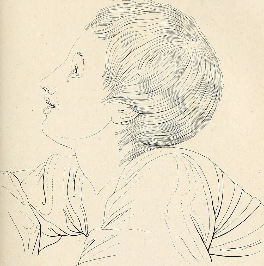 An illustration from L'art de connaitre les hommes par la physionomie, 1806, leaf 140