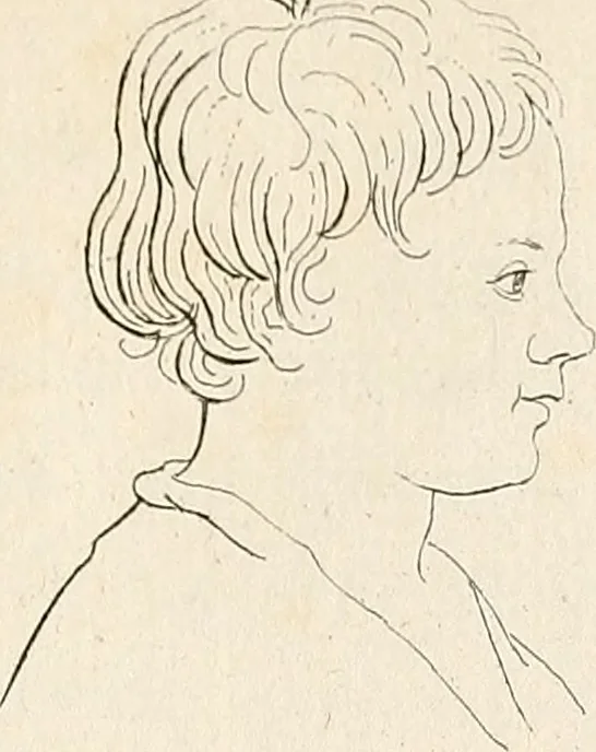 An illustration from L'art de connaitre les hommes par la physionomie, 1806, leaf 146
