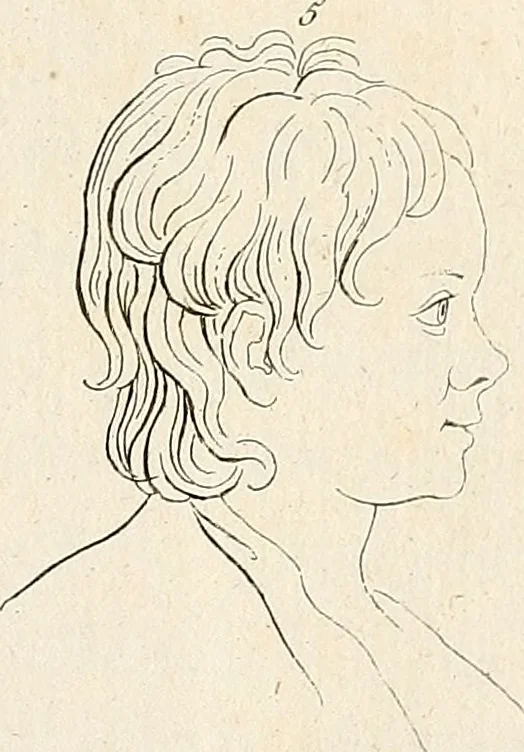 An illustration from L'art de connaitre les hommes par la physionomie, 1806, leaf 146