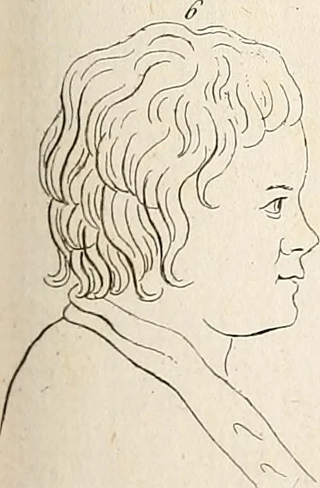 An illustration from L'art de connaitre les hommes par la physionomie, 1806, leaf 146