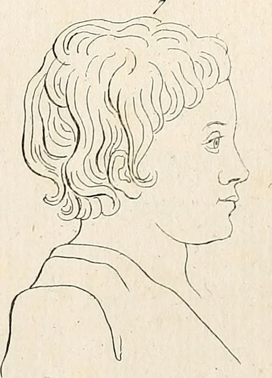 An illustration from L'art de connaitre les hommes par la physionomie, 1806, leaf 146