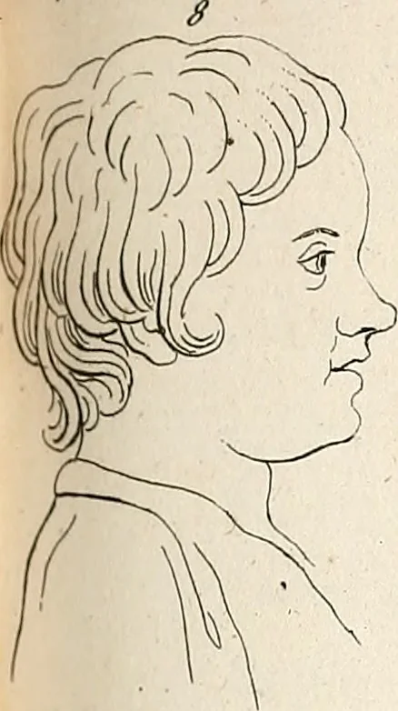An illustration from L'art de connaitre les hommes par la physionomie, 1806, leaf 150