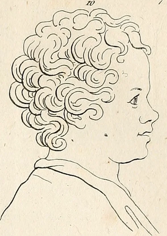 An illustration from L'art de connaitre les hommes par la physionomie, 1806, leaf 150