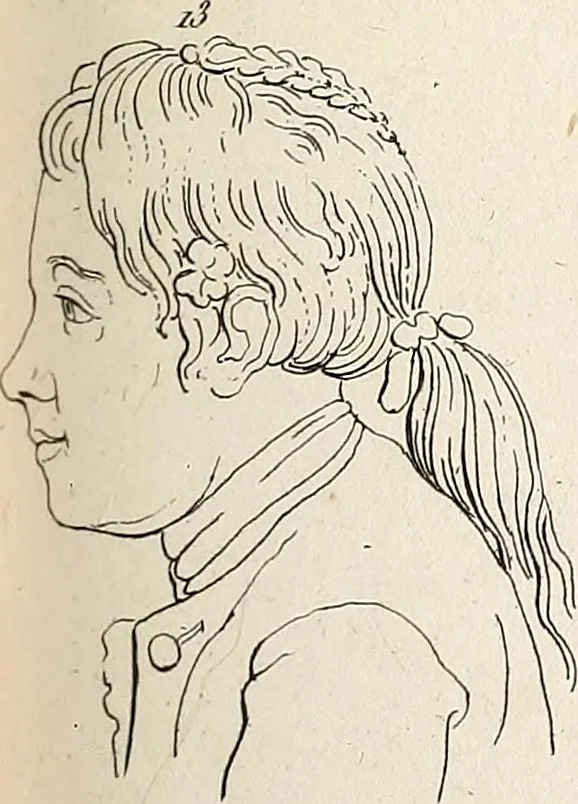 An illustration from L'art de connaitre les hommes par la physionomie, 1806, leaf 150