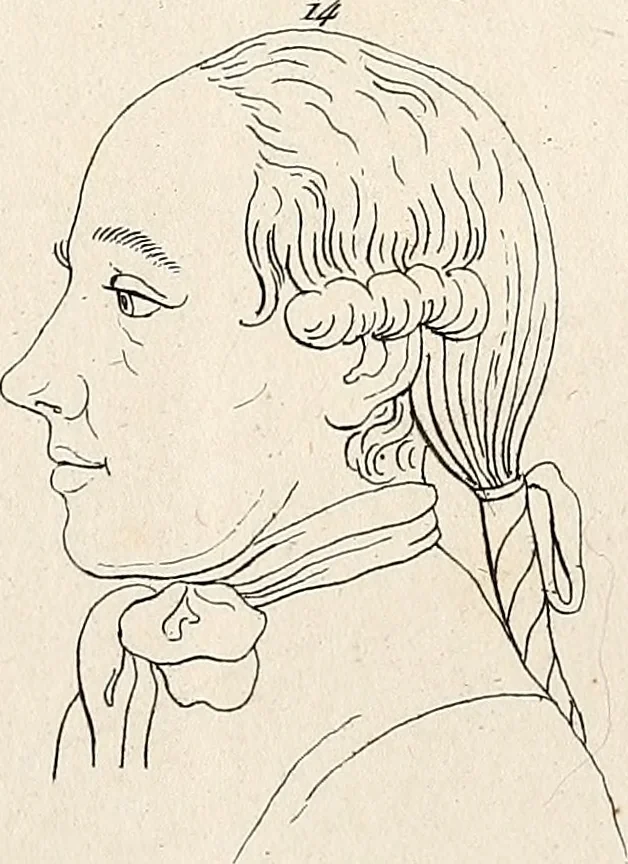 An illustration from L'art de connaitre les hommes par la physionomie, 1806, leaf 150