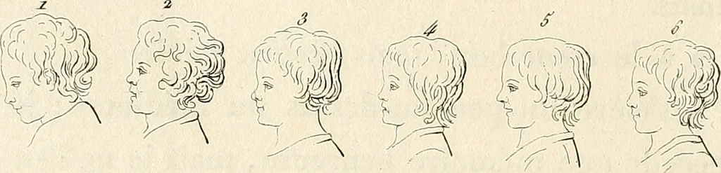 An illustration from L'art de connaitre les hommes par la physionomie, 1806, leaf 153