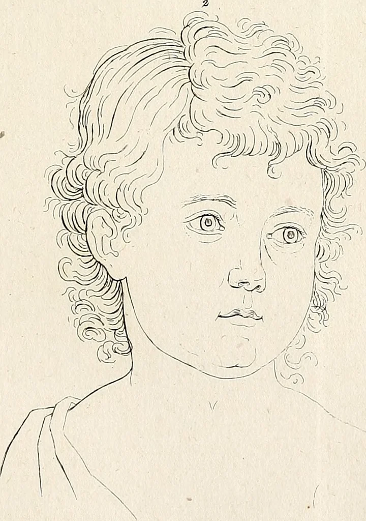 An illustration from L'art de connaitre les hommes par la physionomie, 1806, leaf 154