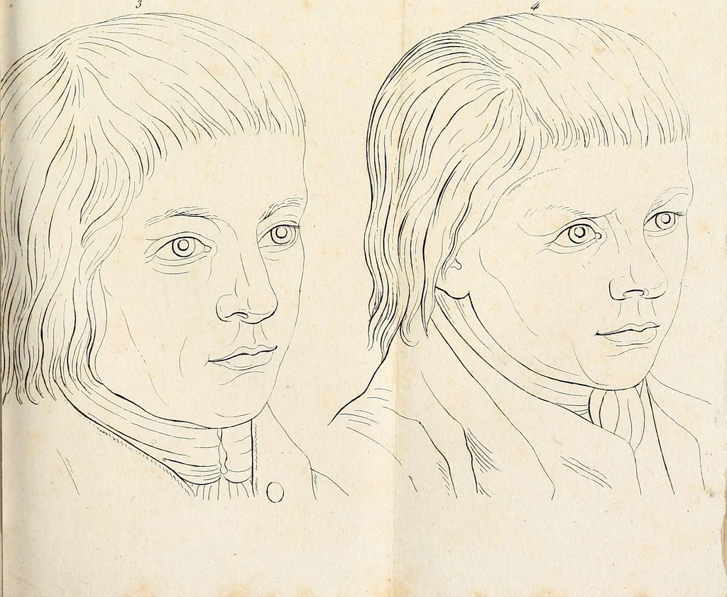 An illustration from L'art de connaitre les hommes par la physionomie, 1806, leaf 158