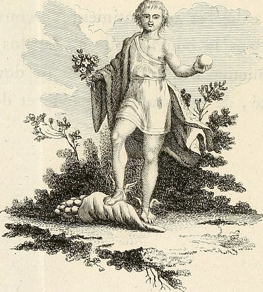 An illustration from L'art de connaitre les hommes par la physionomie, 1806, leaf 161