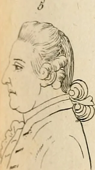 An illustration from L'art de connaitre les hommes par la physionomie, 1806, leaf 196