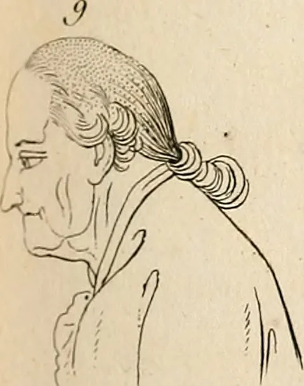 An illustration from L'art de connaitre les hommes par la physionomie, 1806, leaf 196