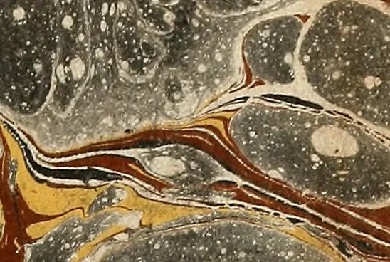 An illustration from L'art de connaitre les hommes par la physionomie, 1806, leaf 2