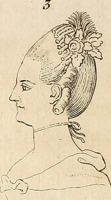 An illustration from L'art de connaitre les hommes par la physionomie, 1806, leaf 201