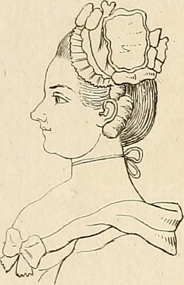 An illustration from L'art de connaitre les hommes par la physionomie, 1806, leaf 201